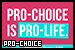 Pro-Choice Movement